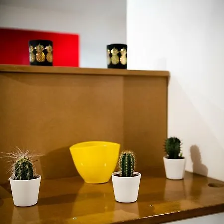 Appartement Denim *